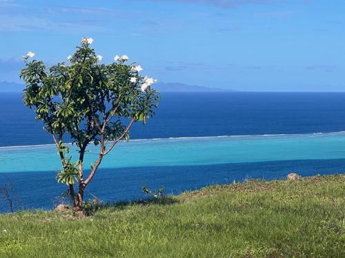La Suite Vue Lagon, hébergement à Raiatea
