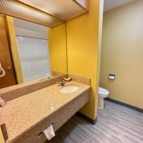 a bathroom with a sink and a toilet at Timberland Inn & Suites in Castle Rock