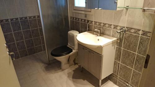 a bathroom with a toilet and a sink at Rivitaloasunto Kittilässä in Kittilä