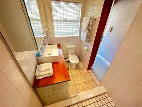 un bagno con lavandino, WC e specchio di Green Point Self Catering Studios a Città del Capo