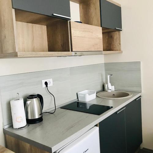 Kuchyň nebo kuchyňský kout v ubytování Apartmani SOVA