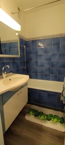 une salle de bain avec un lavabo et une baignoire dans l'établissement Studio Cap d'Agde la grande voile, au Cap d'Agde