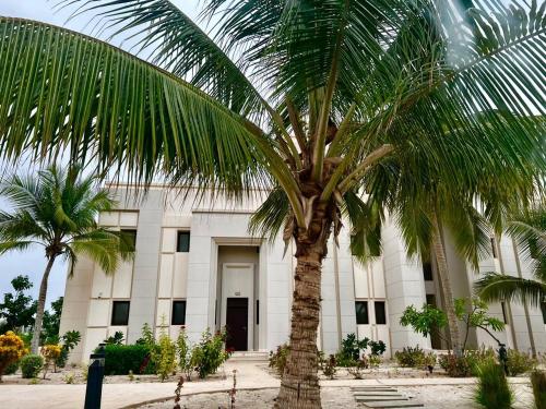 un palmier devant un bâtiment dans l'établissement Hawana salalah Apartment Mimosa, à Salalah