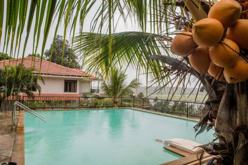 a swimming pool in front of a house with a palm tree at Casa Do Mundo - Your Holiday Home in Porvorim