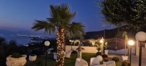 a palm tree in a yard at night with lights at Suite Pizzo jacuzzi rooms in Pizzo
