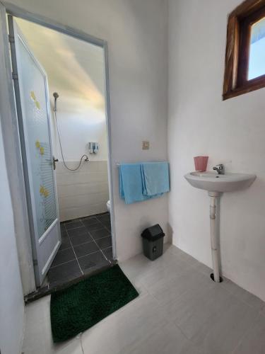 a bathroom with a shower and a sink at D'Flora Homestay in Labuan Bajo