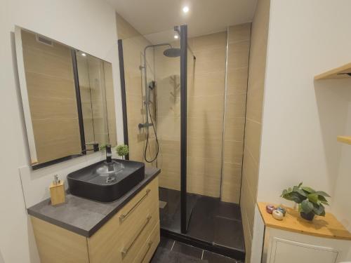 een badkamer met een wastafel en een douche bij Le Bourget, Grand appartement proche du centre in Grenoble