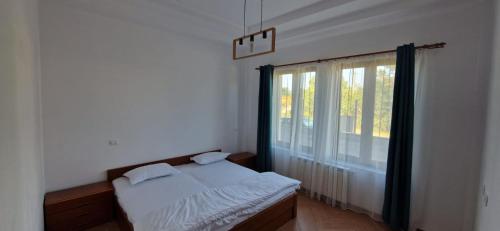 a bedroom with a bed and a large window at Casa Francesca in Comăneşti