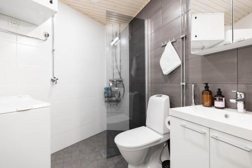 a bathroom with a toilet and a shower and a sink at Arctic Golden Sun City Suite in Rovaniemi