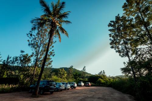 a palm tree and cars parked in a parking lot at Commune18 Resort Chikmagalur in Chikmagalūr