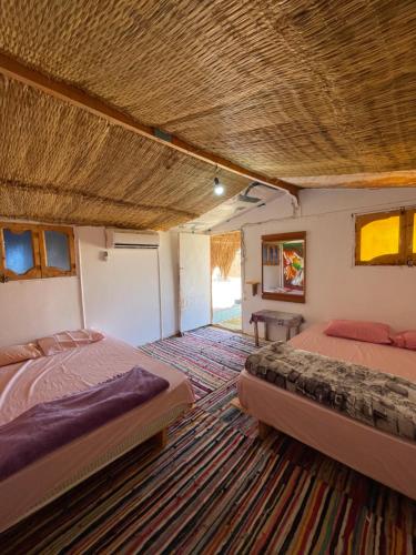 a bedroom with two beds and a rug at Alwaha Camp in Nuweiba