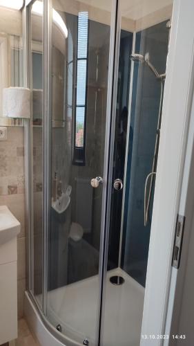 a bathroom with a shower with a sink and a toilet at Villa Homestay Nad Helmrovkou in Prague
