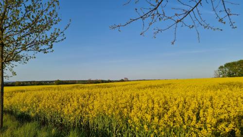 Ostseetraum photo 34