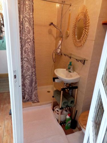 a bathroom with a sink and a shower at charmante studette a quiberon plage in Quiberon