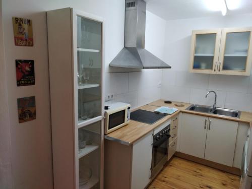 una pequeña cocina con fregadero y microondas en Can Penjarella I, en Arbúcies
