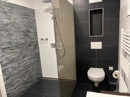 a bathroom with a toilet and a glass shower at Haus Nebel in Oberhaag