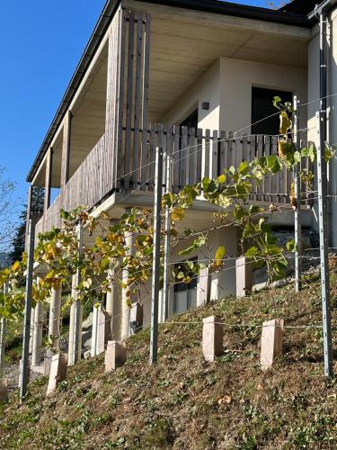 a house with a bunch of trees in front of it at Haus Nebel in Oberhaag