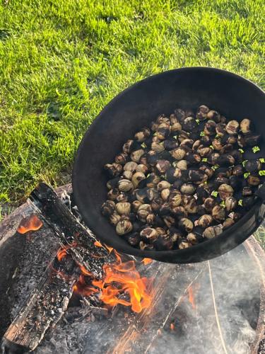 a pan filled with mushrooms on top of a fire at Haus Nebel in Oberhaag
