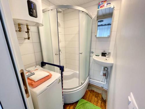La petite salle de bains est pourvue d'une douche et d'un lavabo. dans l'établissement Cosy small apartment, free parking, near Old Town, à Tallinn