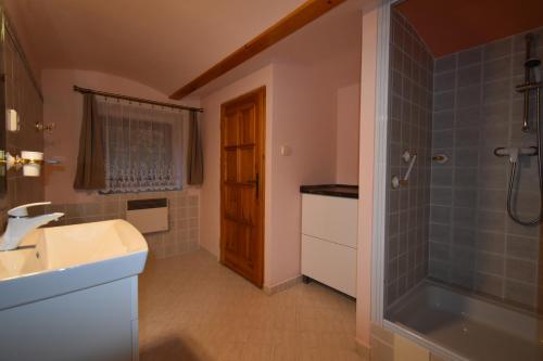 a bathroom with a shower and a sink and a toilet at Chalupa Alexandra in Kacanovy