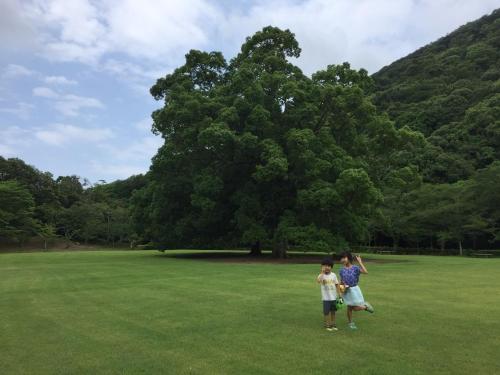 twee kinderen in een veld voor een boom bij INARI - Vacation STAY 87349 in Takamatsu