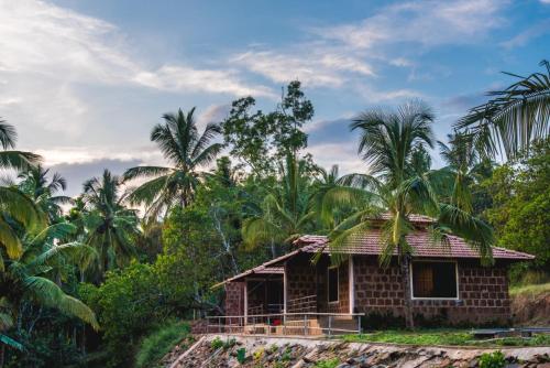 Dandeli Jungle Resort – Photos 5