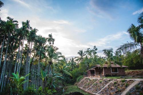Dandeli Jungle Resort – Photos 3