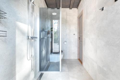 a bathroom with a shower with a glass door at Dream Corner Nordic in Laulasmaa