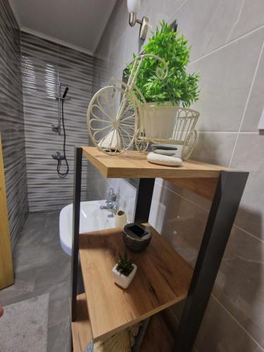 ein Badezimmer mit einem Tisch mit Pflanzen darauf in der Unterkunft Apartman Kalina in Novi Sad