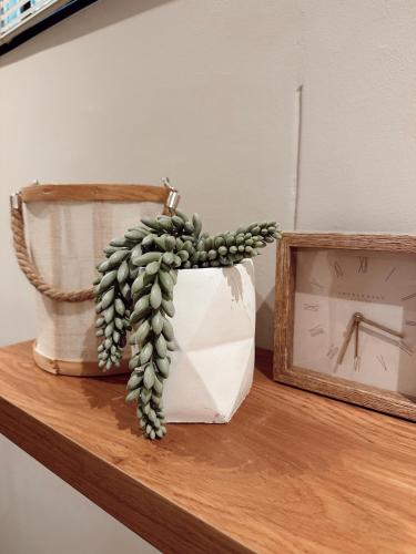 Fotografie z fotogalerie ubytování Wild Olive 65 Farmhouse Style v destinaci Windhoek