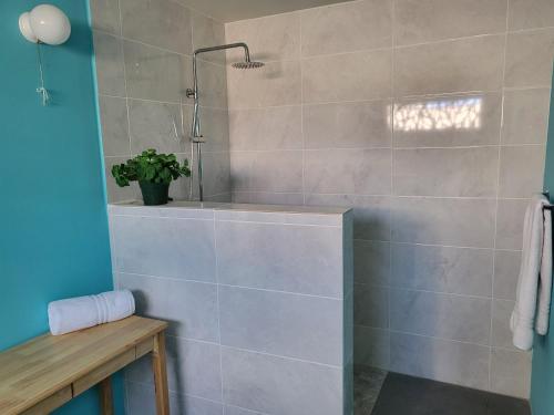 a bathroom with a shower and a tub with a plant at Crawlbay Suites Hotel in Newfield