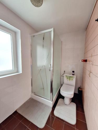 a bathroom with a shower and a toilet at Domek przy Maja in Milicz