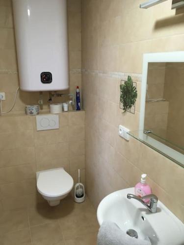 uma casa de banho com um WC branco e um lavatório. em Apartmány U Hadiny em Humpolec