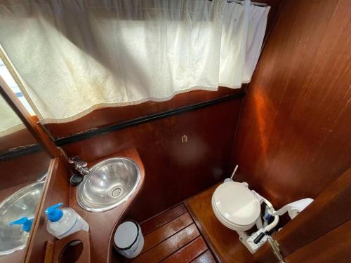 a small bathroom with a toilet and a sink at Barco acogedor - Cosy Boat - Barcelona in Barcelona