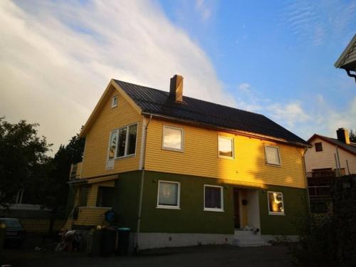 a green and yellow house with a black roof at Kule gule huset in Svolvær