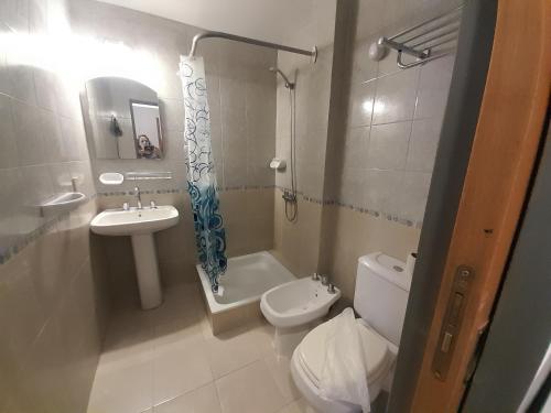 een badkamer met een wastafel, een toilet en een douche bij CALAFATE ANFI Aparts in El Calafate