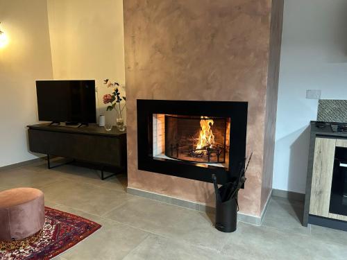 a living room with a fireplace and a tv at Oltre la Siepe Apartment in Nepi