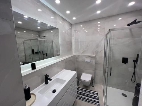 y baño con lavabo, ducha y aseo. en Apartment Borovje-River View, en Zagreb