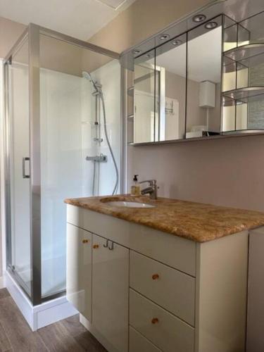 une salle de bain avec un lavabo et une douche dans l'établissement maison indépendante avec jardin, à Senlis