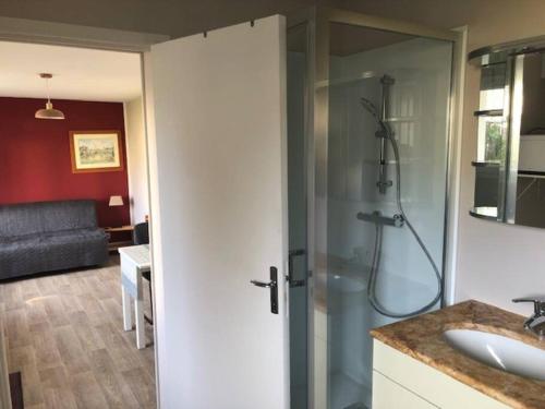 a bathroom with a shower and a sink at maison indépendante avec jardin in Senlis