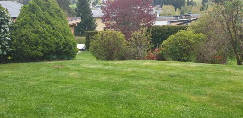 a yard with green grass and trees and bushes at Das Sonnenheim in Bad Kleinkirchheim