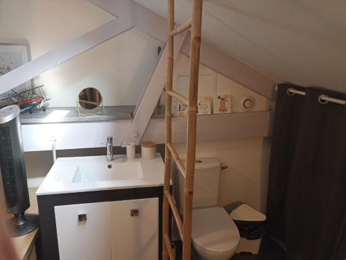 une petite salle de bain avec toilettes et lavabo dans l'établissement Maison cosy au calme Bordeaux, à Mérignac