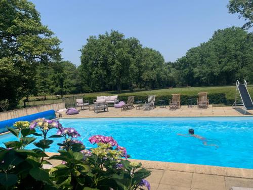 une personne se baignant dans une piscine dans l'établissement Hors Cadre/villa avec piscine, à Nort-sur-Erdre