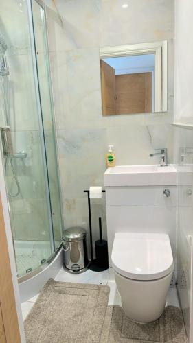 a bathroom with a shower and a toilet and a sink at 7 Venus Road Room 2 in London