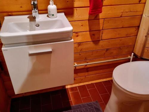 uma casa de banho com um lavatório e um WC em Alpine hut in St Lorenzen ob Murau Styria 