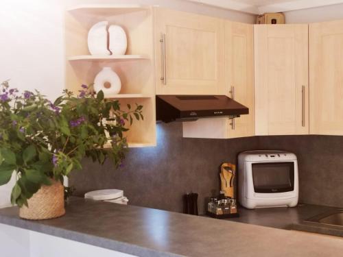 une cuisine avec un comptoir avec un micro-ondes dans l'établissement Coquillages et Crustacés, à Saint-Aygulf