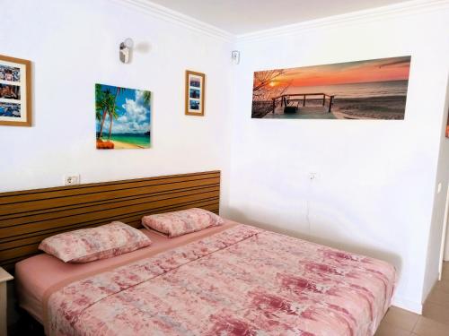 een slaapkamer met een bed en twee schilderijen aan de muur bij Cousy holiday Apartment in sunny Golf del Sur in San Miguel de Abona