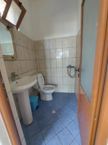een kleine badkamer met een toilet en een wastafel bij Jungle House in Borsh