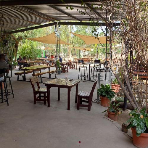 Ondangwa Rest Camp في أوندانغوا: فناء في الهواء الطلق مع طاولات وكراسي ومظلات