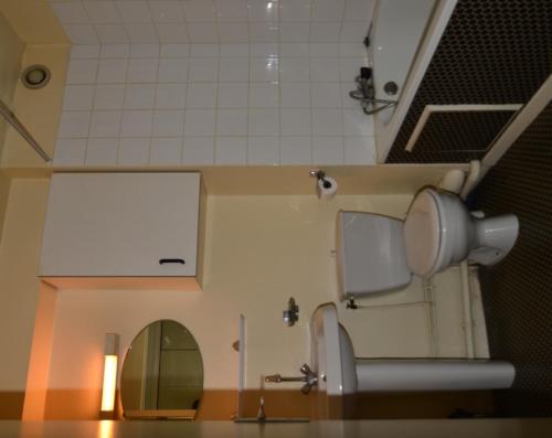 圖盧茲的住宿－VOISIN DU STADIUM，一间带卫生间和镜子的浴室